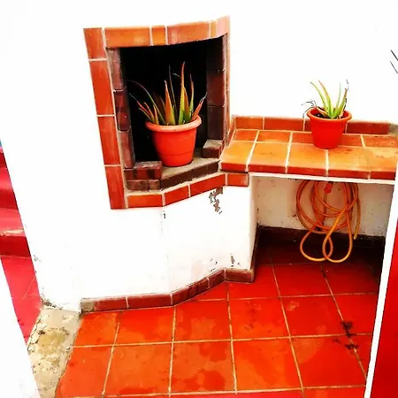 Nuevo Estudio A 300 Metros Del Mar En Daire *